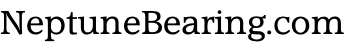 NeptuneBearing.com